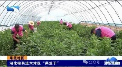 扎根乡土 链通三产 谱写乡村产业振兴新篇章