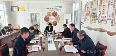 陈俊来麻城宣讲党的二十届四中全会精神并调研重点工作