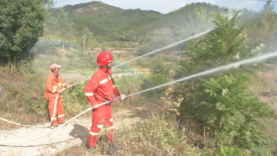 中馆驿镇：“空天地人”织密森林防火立体“防护网”