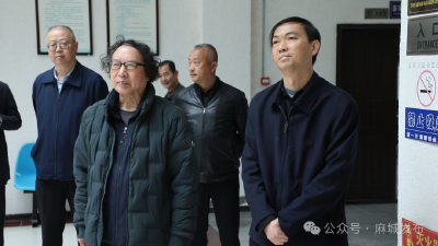 故宫专家为麻城博物馆文旅融合新发展把脉支招