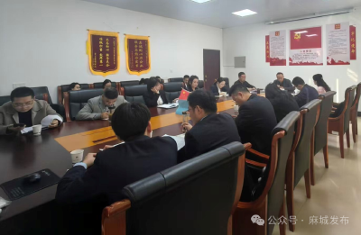 麻城市创业担保贷款专题座谈会召开