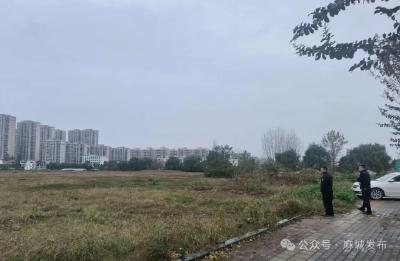 【民生大视野】防范大风天气，麻城城管在行动