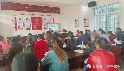 全市农业实用技术培训在夫子河镇开班