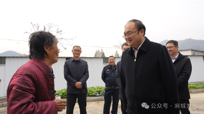 扛牢政治责任 激发内生动力 坚决守牢不发生规模性返贫致贫底线