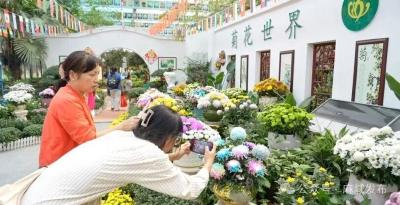 全省十大优秀案例，麻城一项目入选！