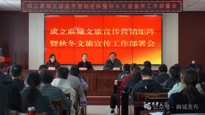 麻城成立文旅宣传营销矩阵 携手擦亮“杜鹃花城 红色麻城”品牌