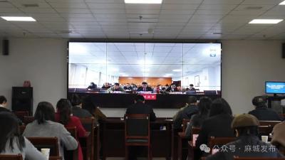 麻城平安家庭建设、婚姻家庭矛盾纠纷预防化解法治化工作在黄冈作经验交流