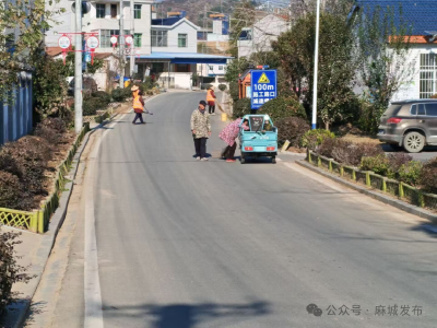 三河口镇：聚力“清洁家园”行动 擦亮美丽乡村底色