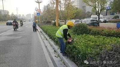 苗木冬日换“银装” 静待春来展“新绿”