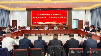 市政协组织住麻城黄冈市政协委员学习贯彻党的二十届四中全会精神