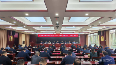 坚持问题导向 抓实重点任务 推动集中整治走深走实