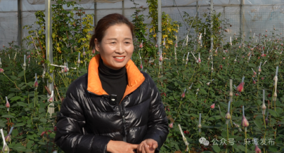 经实缘玫瑰农庄：芬芳玫瑰香溢乡村振兴路