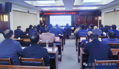 市城乡规划委员会审议三大项目建设工程设计方案