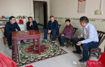 扎根乡村解民忧 实干笃行惠民生