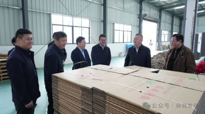 汪国兵调研巩固拓展脱贫攻坚成果同乡村振兴有效衔接工作