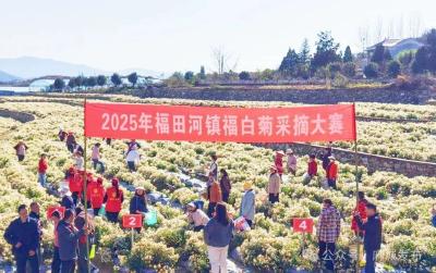 菊香漫山谷 盛会落幕情不散