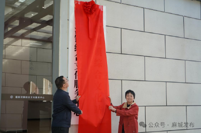 福田河镇综合文化站新站建成投入使用