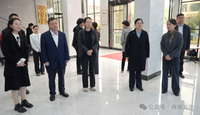 张勇慧调研麻城菊花检验检测体系建设情况