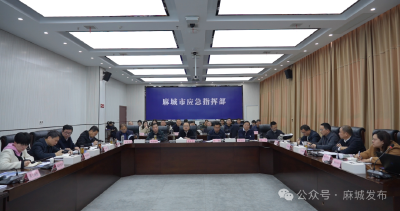 强化规划引领 优化资源配置 推动全域国土综合整治工作提质增效