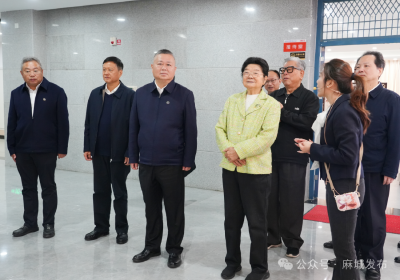 中国关工委主任顾秀莲调研麻城关心下一代工作