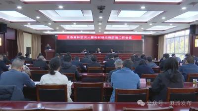 抓实防火之策 抓牢防治之要 坚决守牢安全底线