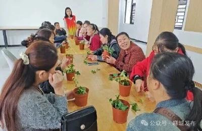 城西社区：以绿为媒 培育社区治理新生力量