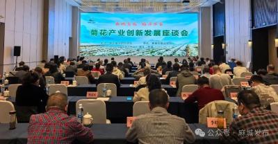 借智借力 同心同向 推动菊花产业高质量发展