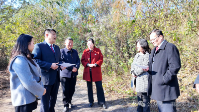 双向衔接显效能 危桥拆除护民生
