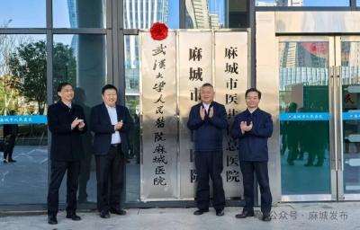 武汉大学人民医院•麻城市人民医院签约暨义诊活动举行