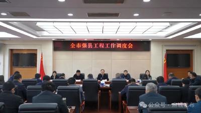 坚持以强县工程为抓手 推动县域经济量质并进