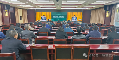 精准部署  严防严控 全力抓好森林防灭火暨松材线虫病防治工作