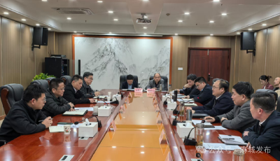 长江沿岸铁路集团来麻城调研沿江高铁项目建设