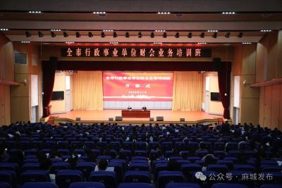 筑牢财务规范根基 提升队伍专业能力