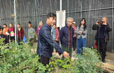 麻城乡村振兴课堂让“菜园子”变“聚宝盆”