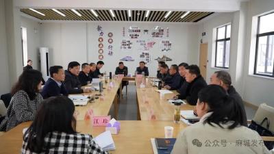 麻东片区乡镇人大主席座谈会为明年乡镇人大工作定方向明路径 