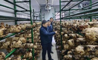 精准对接谋发展 招商引资促“镇”兴