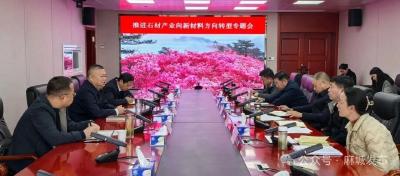 汪国兵主持研究推进石材产业向新材料方向转型工作