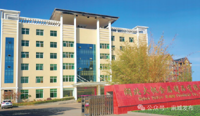 麻城新增1家省级5G工厂