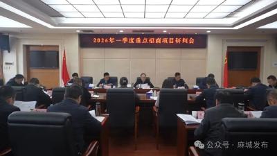 科学谋划 精准发力 奋力夺取明年招商引资“开门红”