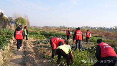 守护举水河 共建生态家园