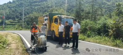 麻城城管以严实作风夯实乡村振兴根基