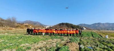 木子店镇：技术赋能冬田管护 蓄力来年丰产增收