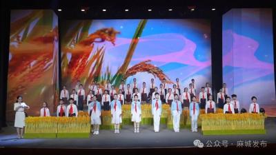 麻城特教成果展演：融合之光 山海共辉