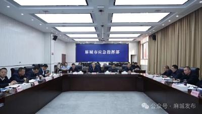 从高设标 统筹发力 加快打造全域国土综合整治示范样板