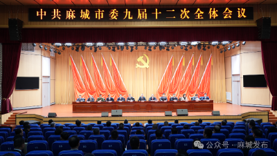 中共麻城市委九届十二次全体会议举行