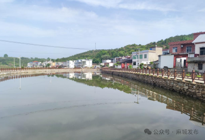 【美丽城乡 你我共建】共绘麻城新画卷 同谱城乡协奏曲（三）