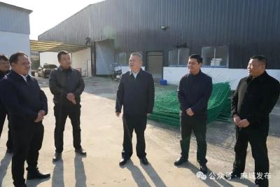 汪国兵调研巩固拓展脱贫攻坚成果同乡村振兴有效衔接工作