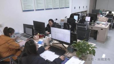 麻城：依法开展小区公共收益专项审计