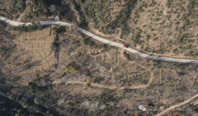 绿野寻金 林海生辉