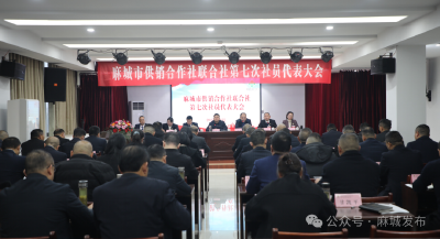 市供销合作社联合社擘画为农服务新蓝图